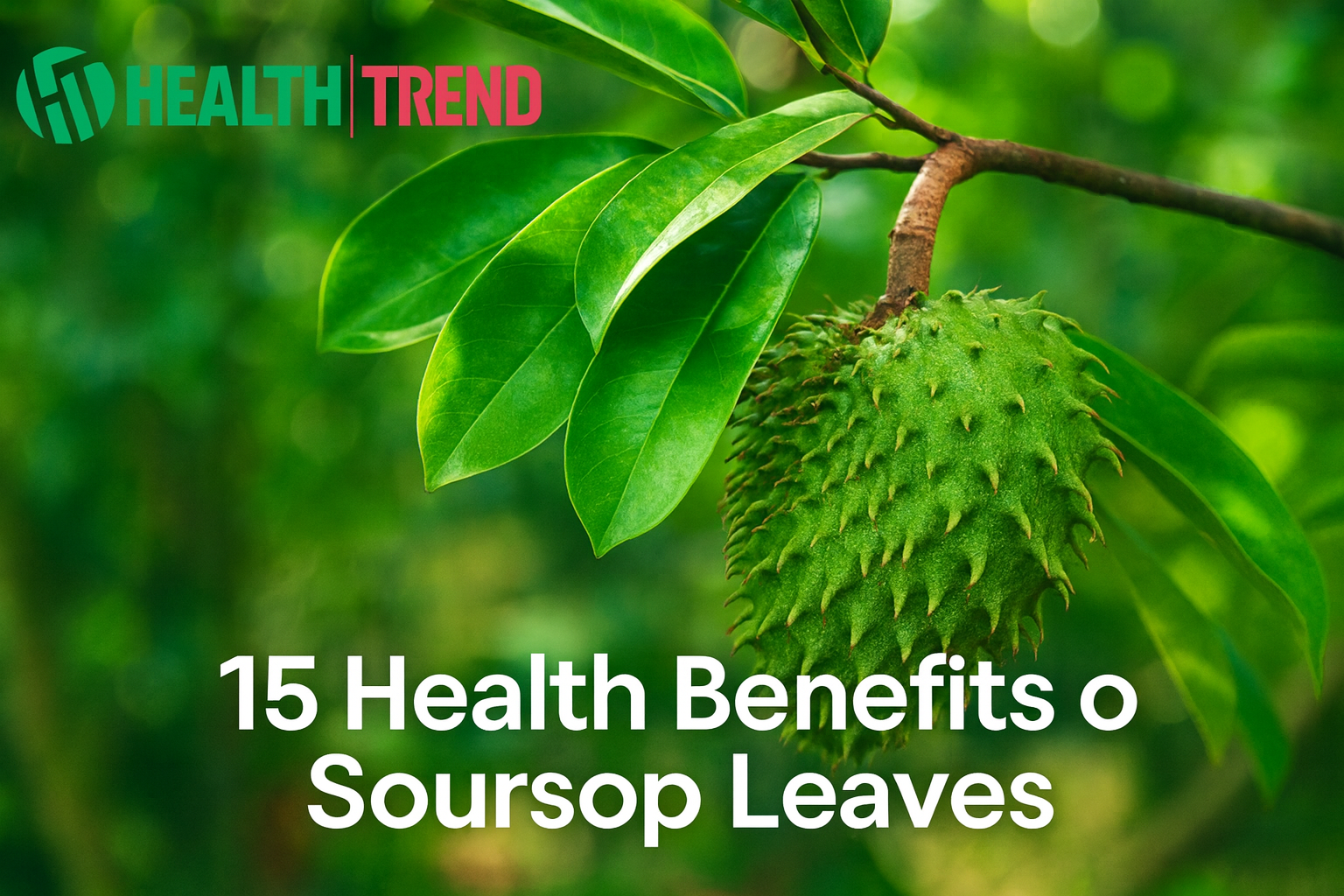 15 health benefits of soursop leaves